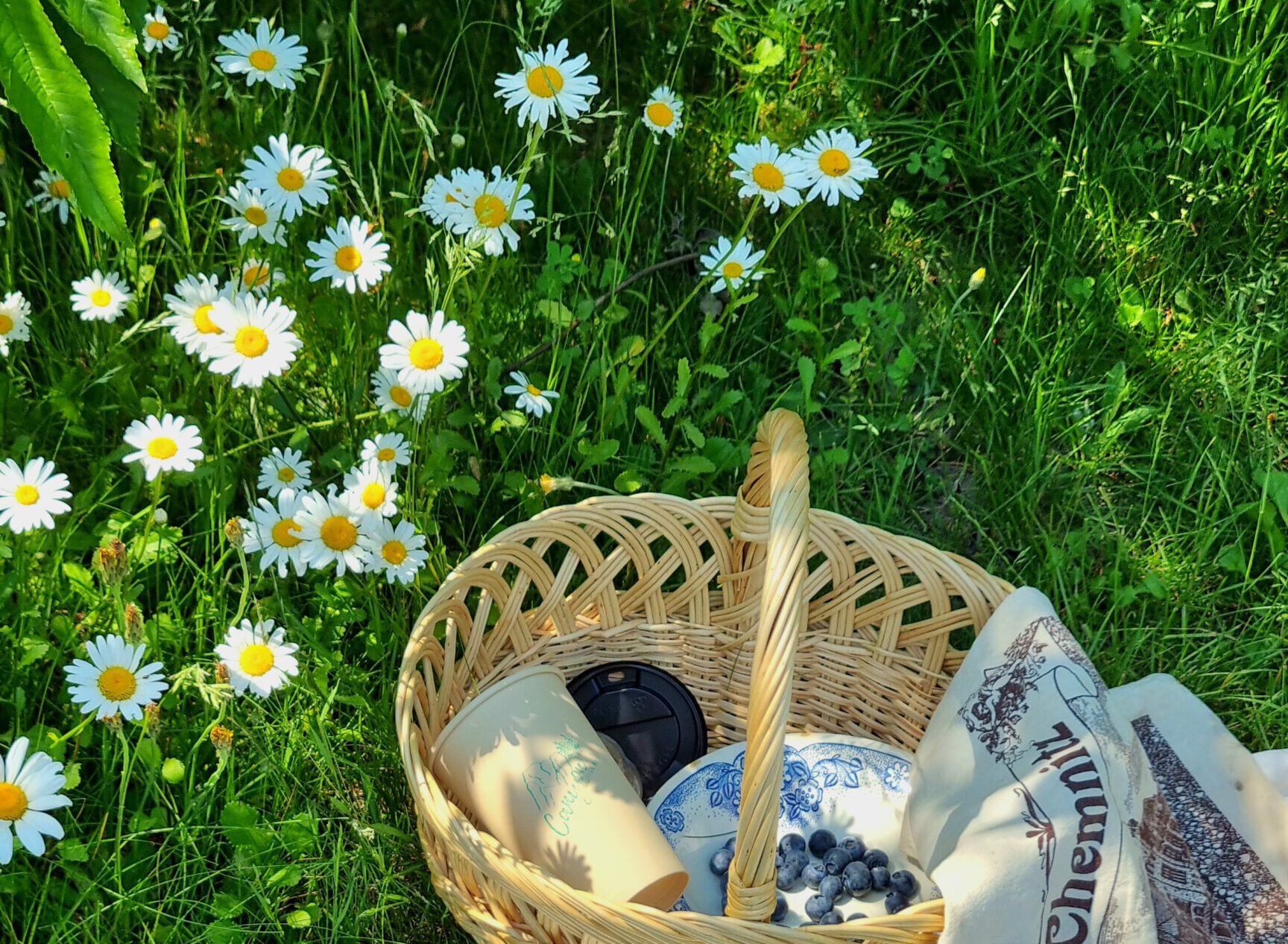 Ein Picknickkorb steht auf einer blühenden Wiese.